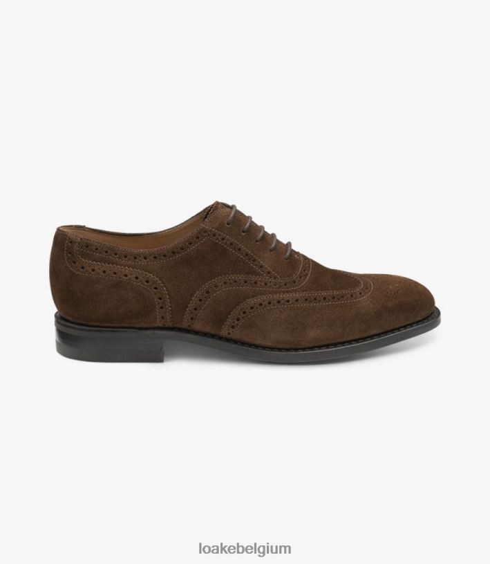 LoakeT08RD24 302 brogues bruin suède
