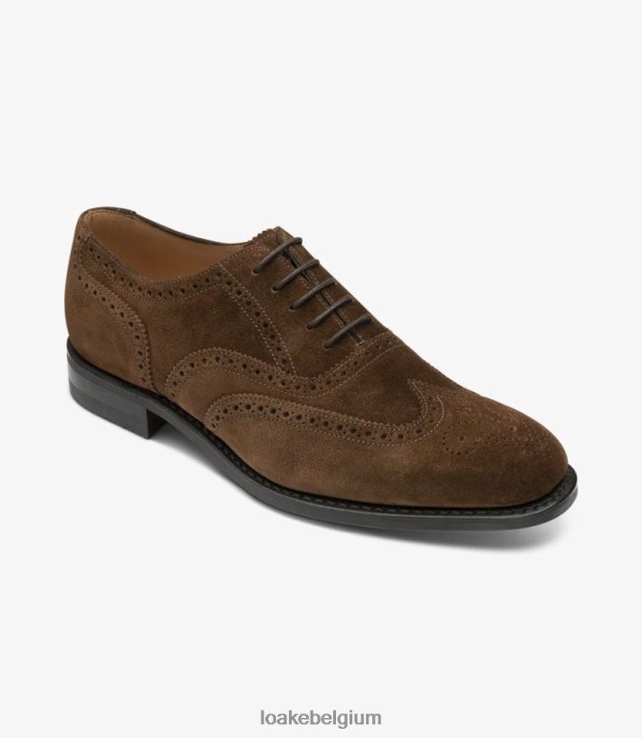 LoakeT08RD24 302 brogues bruin suède