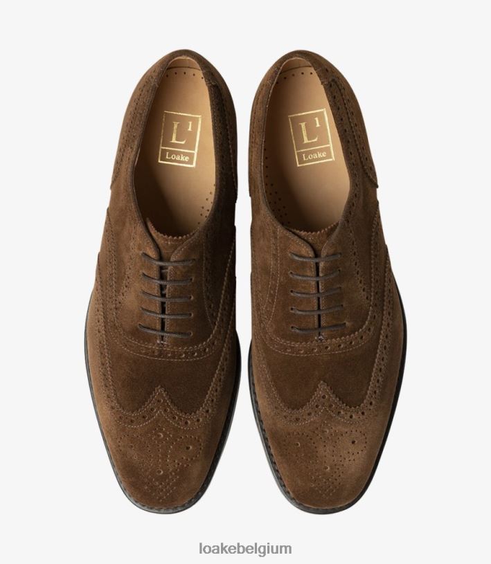 LoakeT08RD24 302 brogues bruin suède